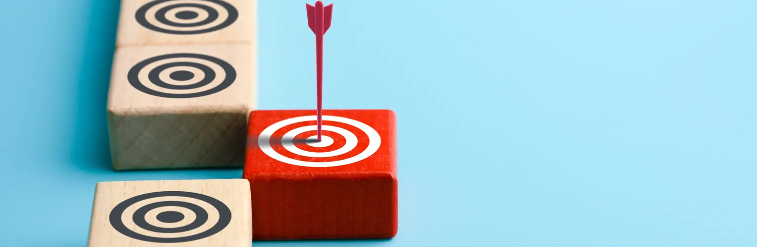 Precision audience targeting for remarketing campaigns
